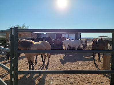 Wild West Horseback Adventures thumb 4